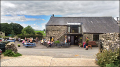 Elaine's Feizer Elaine's Feizer