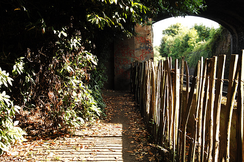 Safety Fence