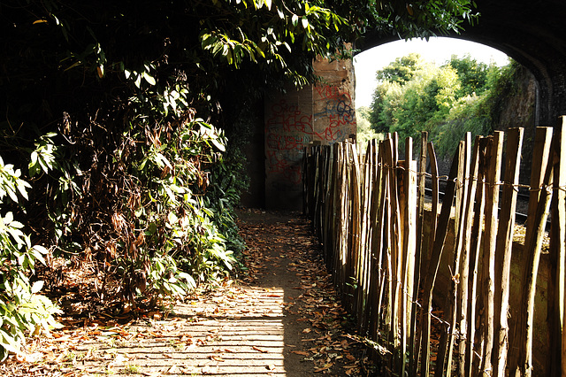 Safety Fence