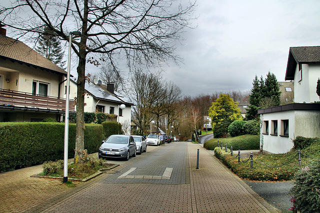 Marderweg (Witten-Annen) / 8.03.2020