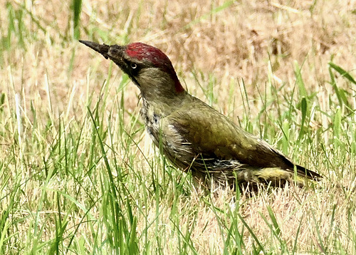 P1120481