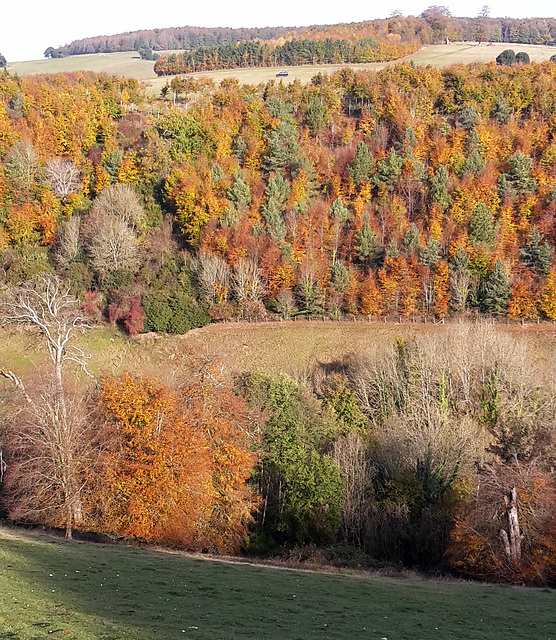 Autumn colours