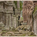 Ta Prohm Temple (4)