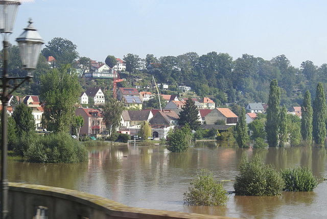 Elbe-Hochwasser in Pirna