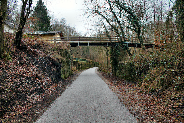 Radweg auf der ehemaligen Hespertalbahn (Essen-Fischlaken) / 4.02.2017