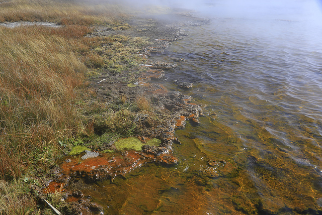 Firehole Lake