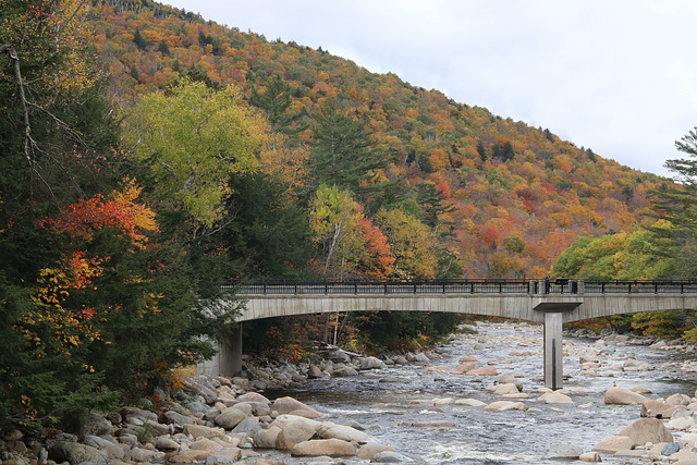Bridge over the East Branch