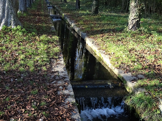 Une belle promenade à 1km de chez moi - confinement oblige....