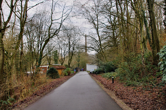 Voßnacker Weg (Essen) / 10.01.2021