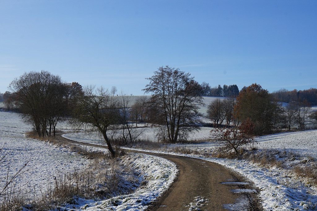 Unterm Krücker bei tief stehender Sonne IV