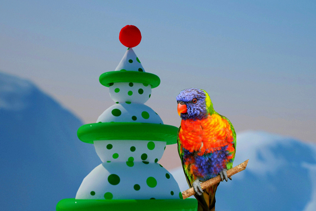 Rare Arctic Lorikeet