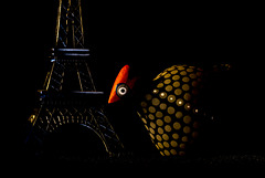 Guinea Fowl Goes to Paris
