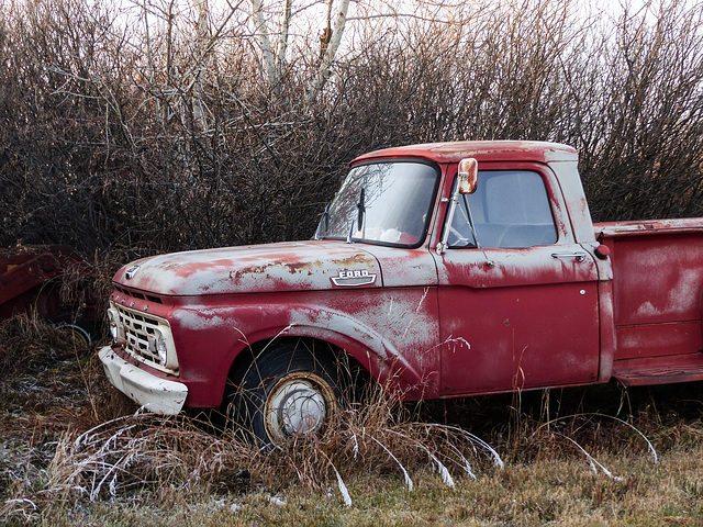 A beautiful old Ford