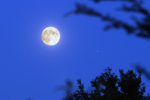 The Moon and Jupiter