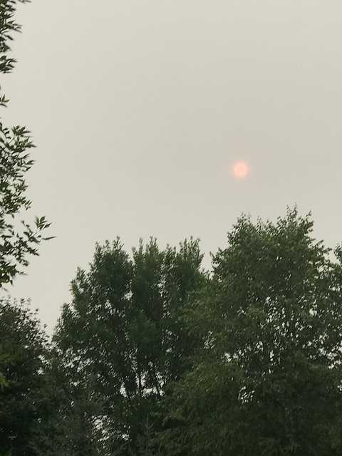 the sun through smoke