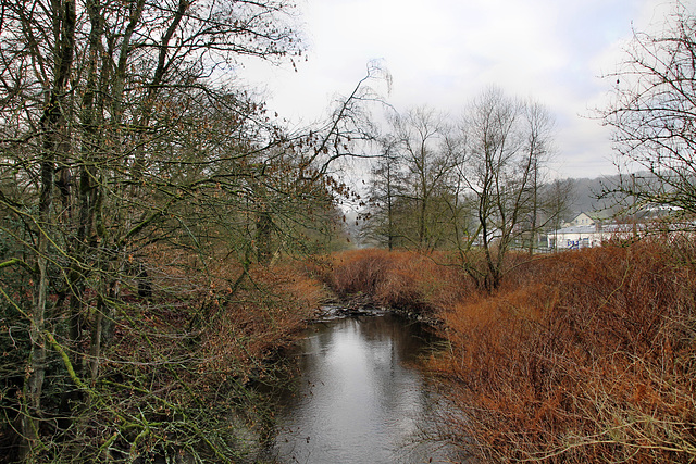 Deilbach am Voßnacken (Essen) / 10.01.2021