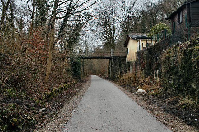 Ehemalige Trasse der Hespertalbahn (Essen-Fischlaken) / 4.02.2017