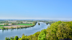 Blick auf die Donau