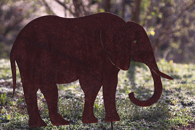 #47 - digipic - Elephant - 41̊ 0points