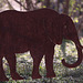 #47 - digipic - Elephant - 41̊ 0points