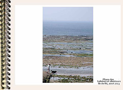 ilere071