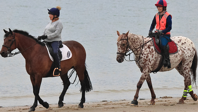 EOS R7 Peter Harriman 08 07 02 5275 horses1 dpp