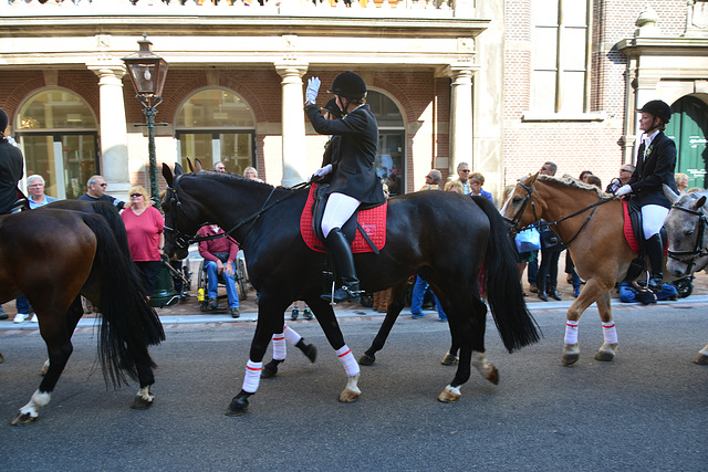 Leidens Ontzet 2014 – Horses in the parade