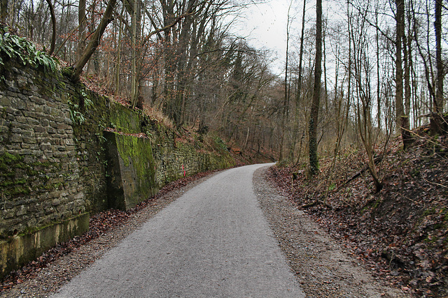 Ehem. Trasse der Hespertalbahn (Essen-Fischlaken) / 4.02.2017