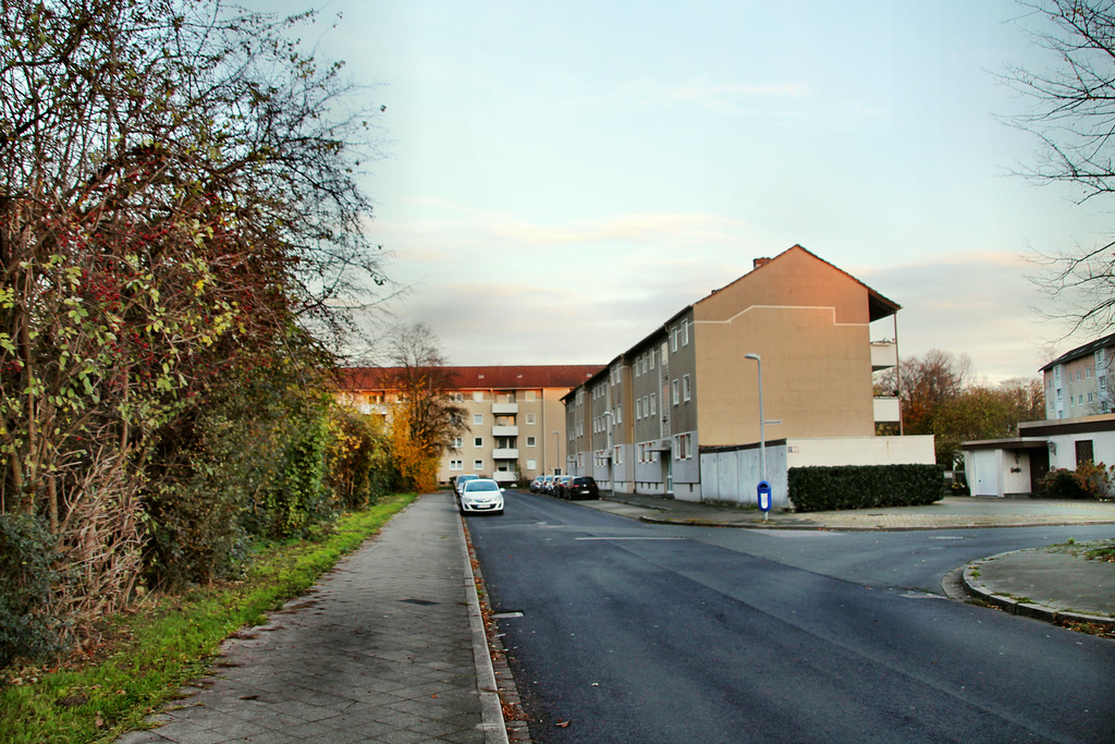 Albenhausenstraße (Gelsenkirchen-Bismarck) / 14.11.2020