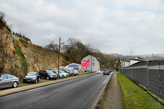 Nierenhofer Straße (Essen-Byfang) / 10.01.2021