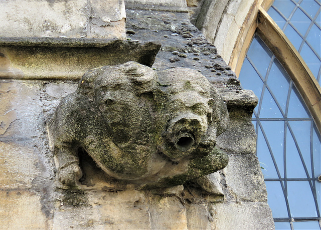 peterborough st john c15 gargoyle