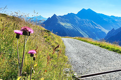 Start Of A Wonderful Mountain Tour