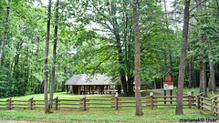 A place for a bonfire in the Bialowieza Forest-Filipówka
