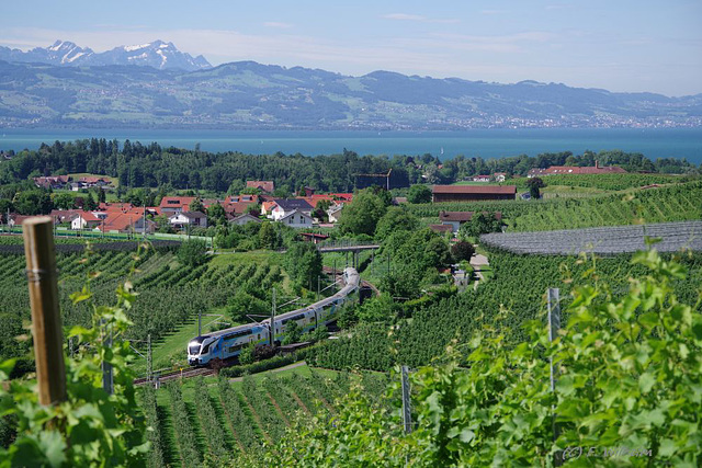 BÖ0026074 BÖ0026074