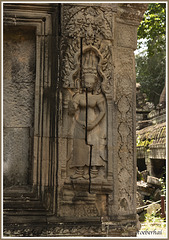 Ta Prohm Temple (6)