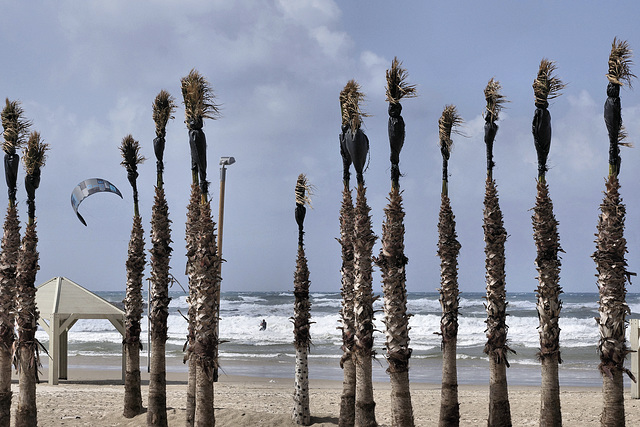 A Lone Windsurfer – Trumpledor Beach, Tel Aviv, Israel