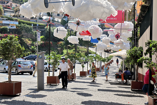 Câmara de Lobos (5)