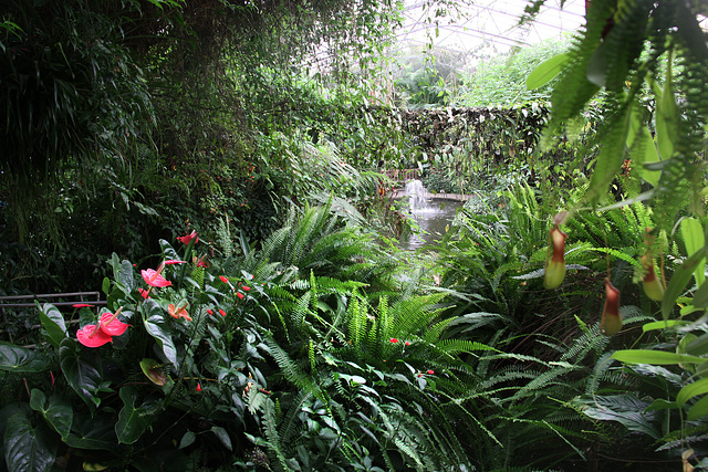 Roath Park Conservatory