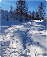 Il Covid ha desertificato anche la montagna - il 'virus' non teme il freddo e la neve, ma neppure l'inquinamento !