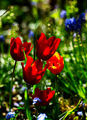 5D3 0157-FHD