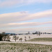 Winterfelder / Winter fields