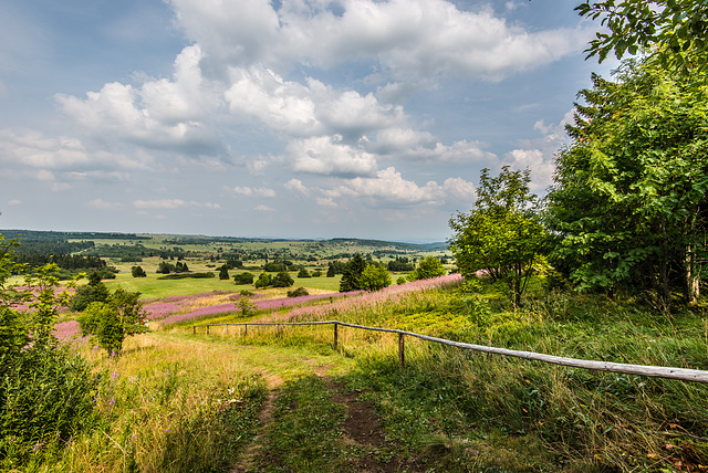 Am Heidelstein - 20150812