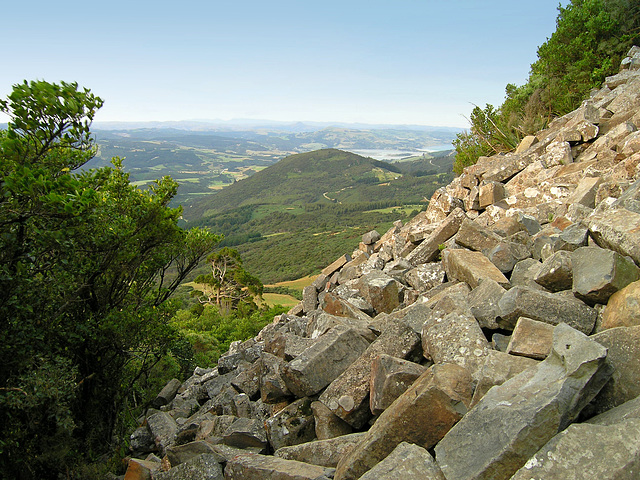 Mt. Holmes slope with basalt fragments - Mount Cargill Scenic Reserve Mt. Holmes slope with basalt fragments - Mount Cargill Scenic Reserve
