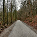 Radweg auf dem stillgelegten Streckenabschnitt der Hespertalbahn (Essen-Fischlaken) / 4.02.2017