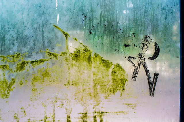 Bus Shelter Window on a Rainy Day