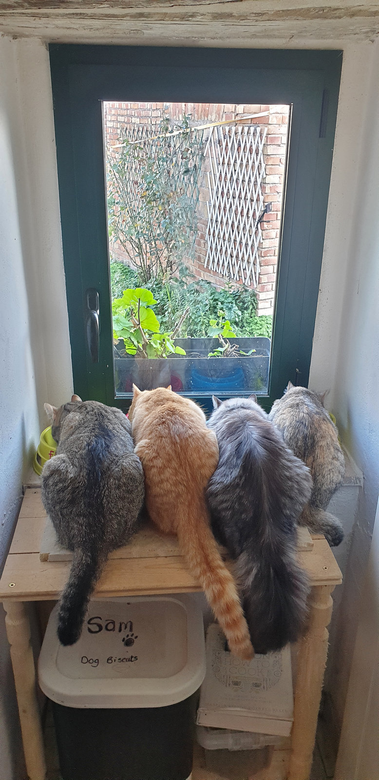 Feeding Time