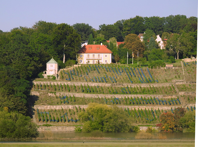Dinglingers Weinberg an der Elbe, Dresden Dinglingers Weinberg an der Elbe, Dresden