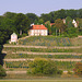 Dinglingers Weinberg an der Elbe, Dresden