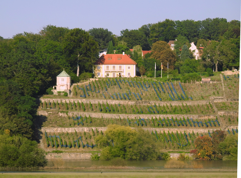 Dinglingers Weinberg an der Elbe, Dresden
