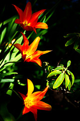 5D3 0148-FHD
